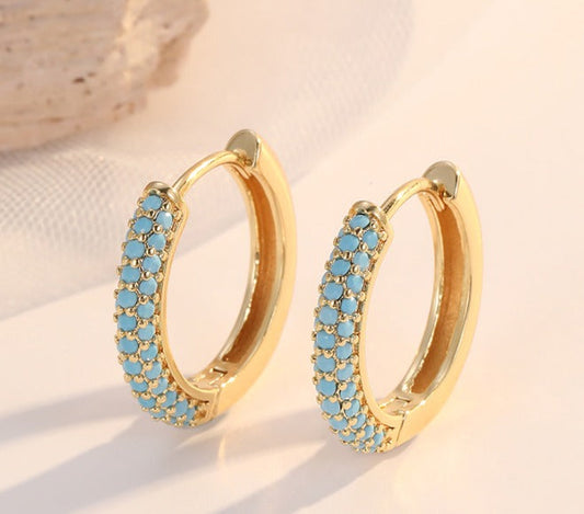 Premium Charmante Turquoise Oorbellen